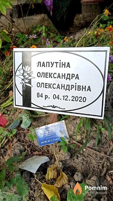 Лапутина Александра Александровна