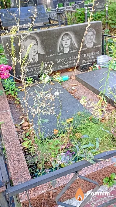 Затула Дмитрий Григорьевич