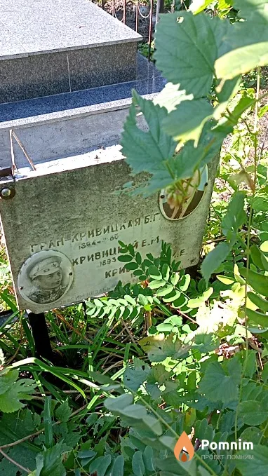 Кривицкий Е М