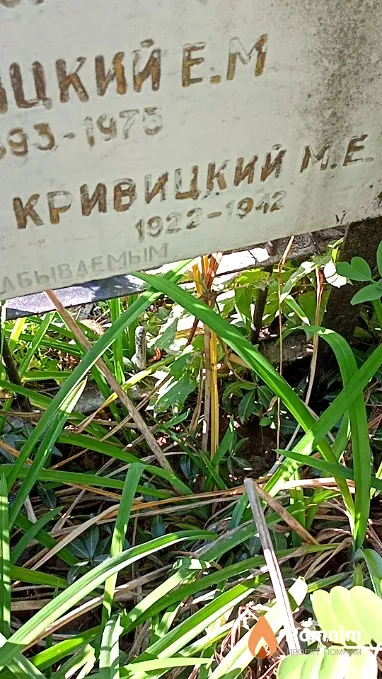 Кривицкий М Е