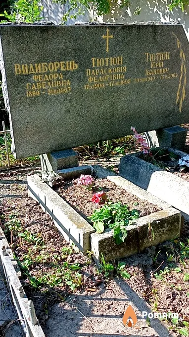 Тютюн Юрій Іванович
