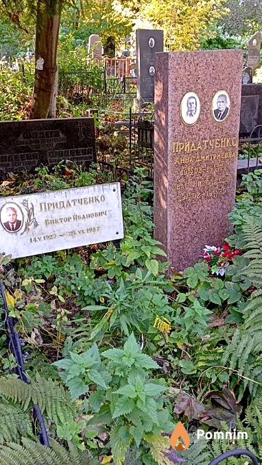 Придатченко Анна Дмитриевна