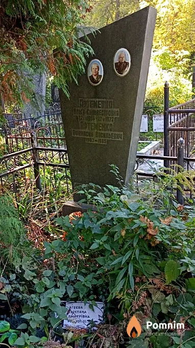 Агеєва Світлана Дмитрівна