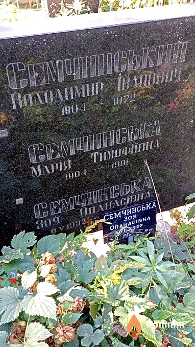 Семчинський Володимир Іванович