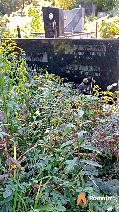 Семчинська Марія Тимофіївна