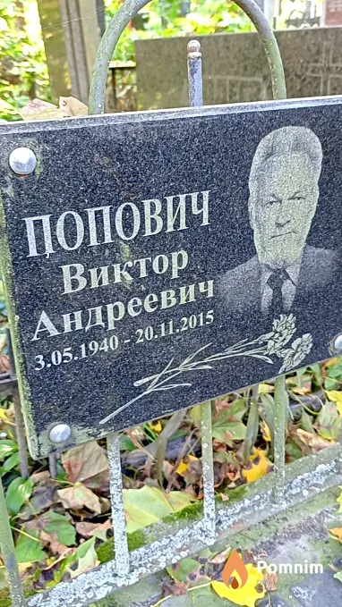 Попович Виктор Андреевич