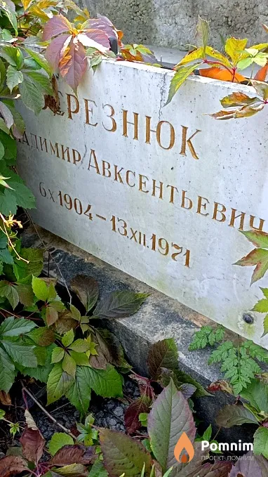 Березнюк Владимир Авксентьевич
