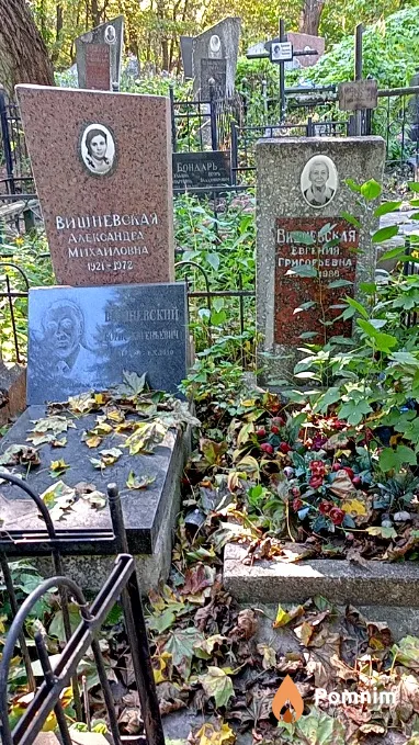 Вишневская Александра Михайловна