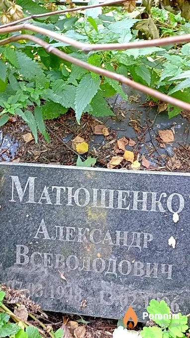 Матюшенко Александр Всеволодович