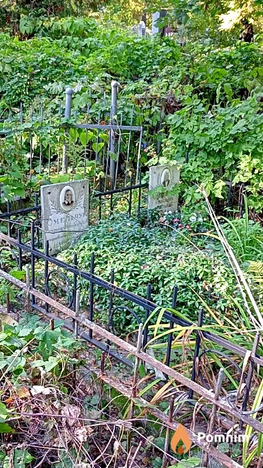 Омельчук Анастасия Венедиктовна