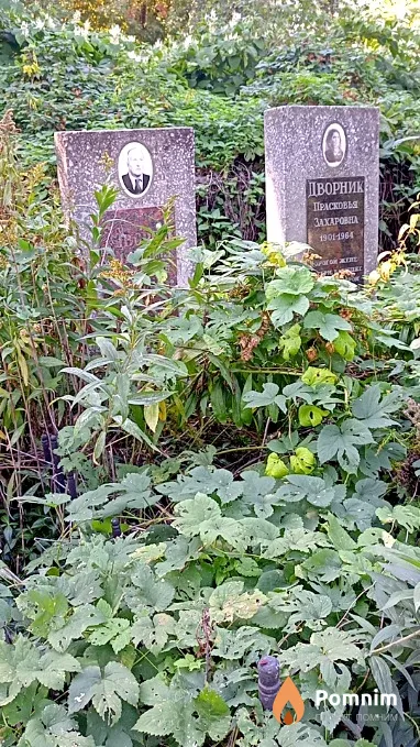 Дворник Михаил Платонович