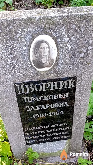 Дворник Прасковья Захаровна