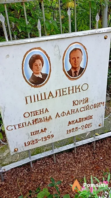 Піщаленко Юрій Афанасійович