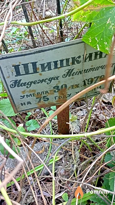 Шишкина Надежда Никитична
