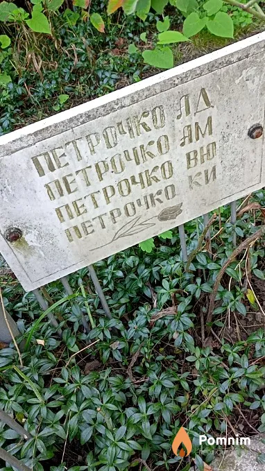 Петрочко А М