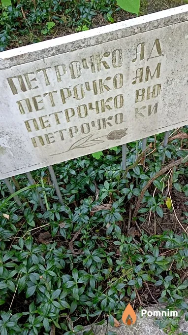 Петрочко В Ю