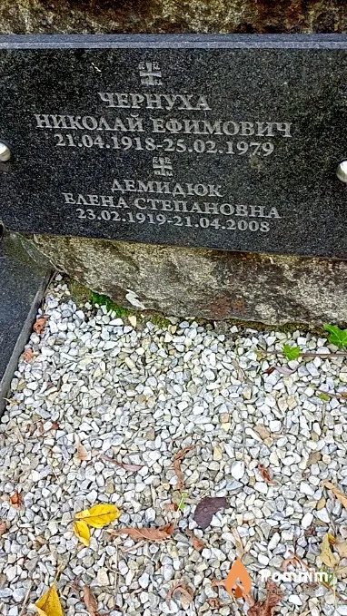 Демидюк Елена Степановна