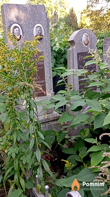 Райцес Клара Марковна