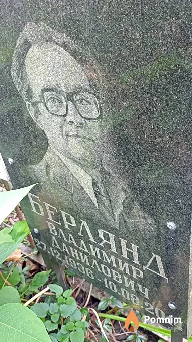 Берлянд Владимир Данилович