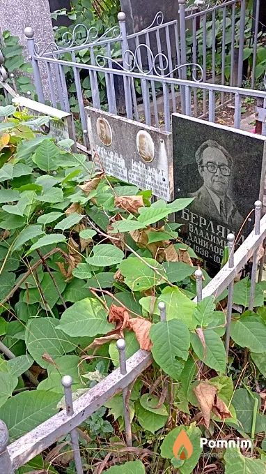 Берлянд Анна Марковна
