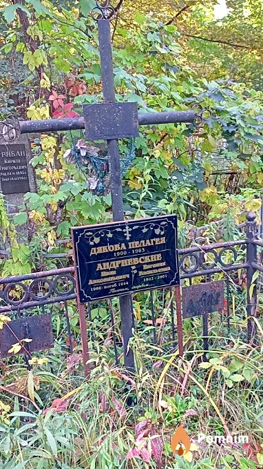 Андриевская Евгения Васильевна