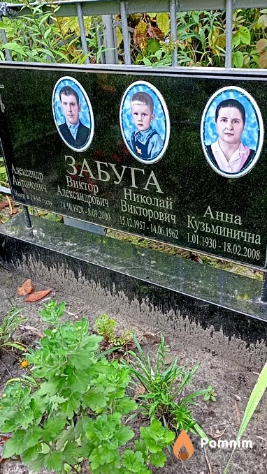 Забуга Николай Викторович