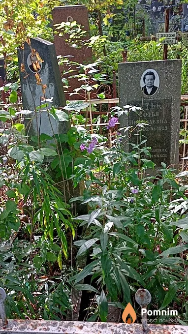 Шутько Софья Николаевна