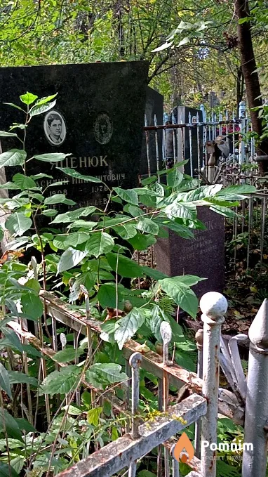 Яценюк Василий Ипполитович