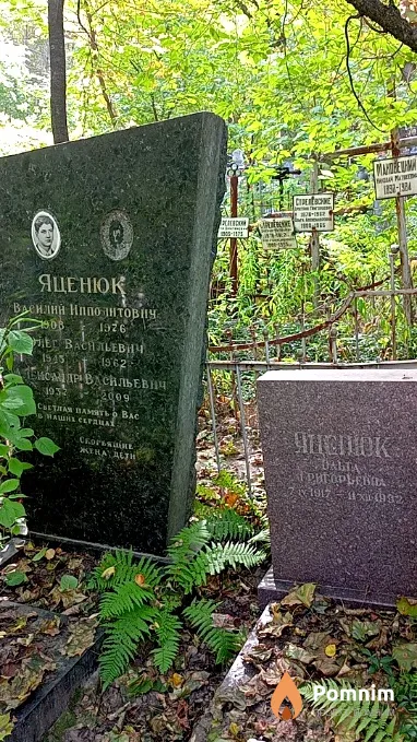 Яценюк Ольга Григорьевна