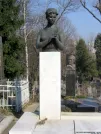 Захоронение ID 255503