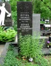 Захоронение ID 258536