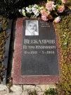 Захоронение ID 234726