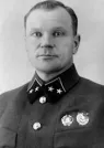 Захоронение ID 231625