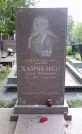 Захоронение ID 264992