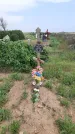 Захоронение ID 1253931