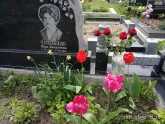 Захоронение ID 1253919