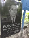 Захоронение ID 1253958