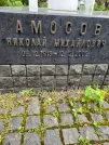 Захоронение ID 1254012