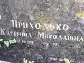 Захоронение ID 1254178