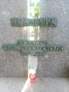 Захоронение ID 1254227