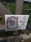 Захоронение ID 1254236