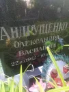Захоронение ID 1254263