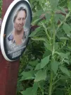 Захоронение ID 1254282