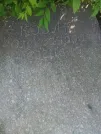 Захоронение ID 1254310