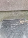 Захоронение ID 1254648