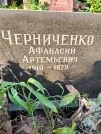 Захоронение ID 1255226