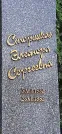 Захоронение ID 1255297