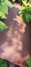 Захоронение ID 1255348