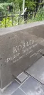 Захоронение ID 1255709