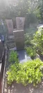Захоронение ID 1255748